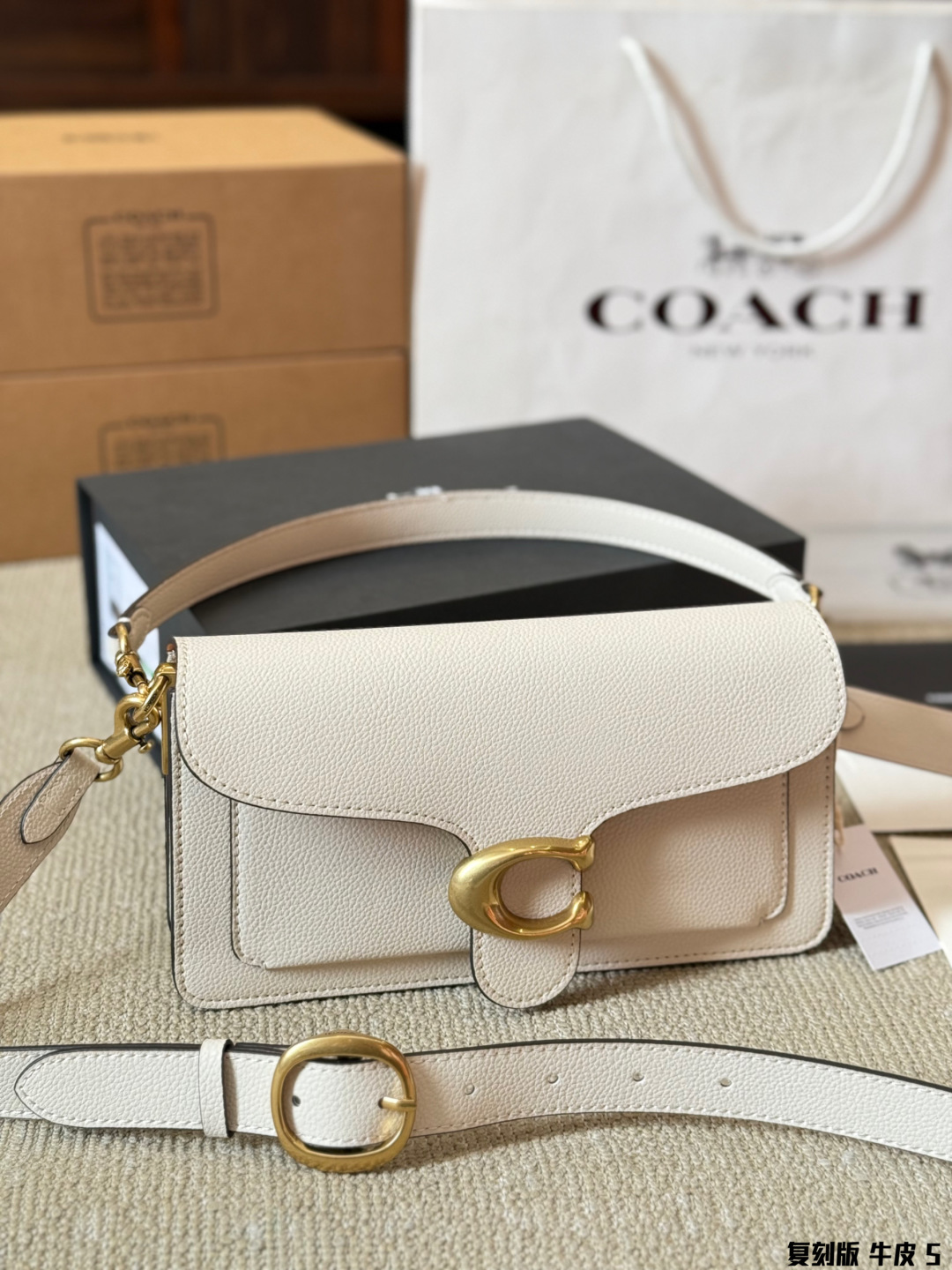 coach bag 254